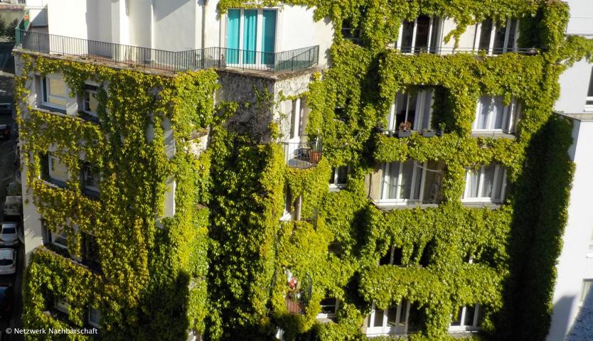 Fassadenbegrunung