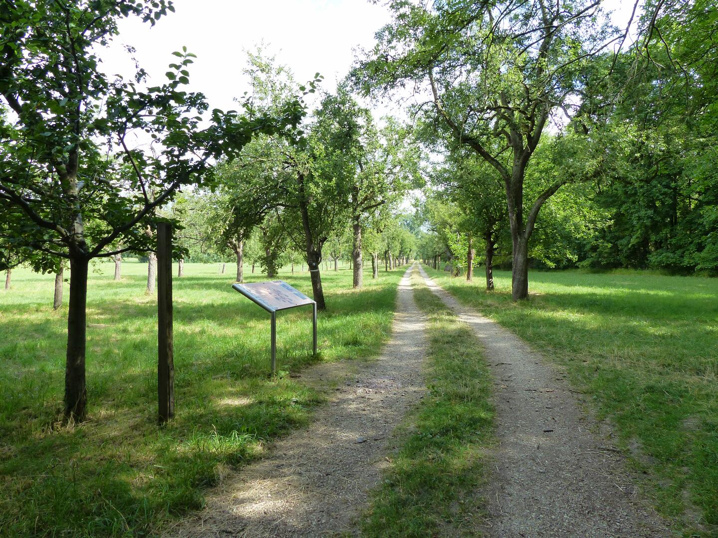 Rei&szlig;i