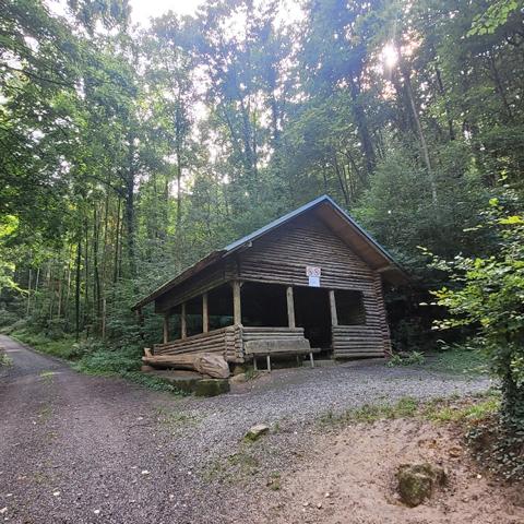 Rhein-Neckar-Kreis: Serie des Kreisforstamts über Erholungsorte im Wald (Teil 4): Spiel, Spaß 