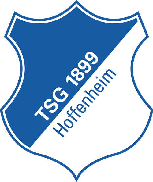 TSG Logo Standard 4c Copy